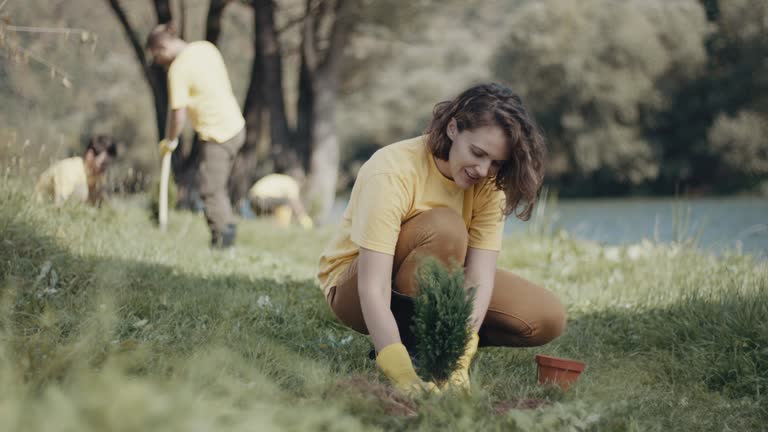 Best Aeration Services  in Mountain View Acres, CA